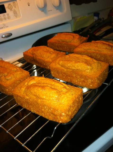 Pumpkin Loaves – BNB Supplements
