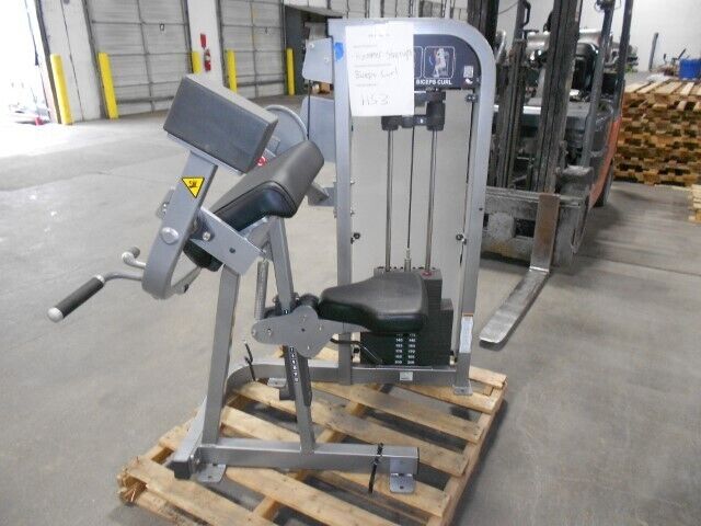 Hammer Strength Life Fitness Bicep Preacher Curl Commercial Gym Equipment