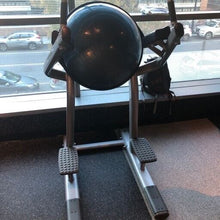 Load image into Gallery viewer, Life Fitness Signature Series BOSU Leg Raise