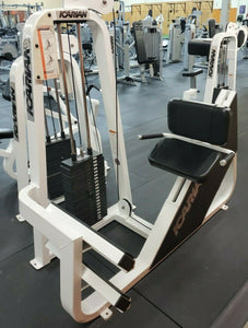 Precor Icarian Icarian Angled Seated Calf Commercial Gym Equipment