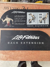 Load image into Gallery viewer, Life Fitness Pro2 SE Back Extension  Commercial Gym Equipment