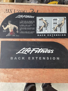 Life Fitness Pro2 SE Back Extension  Commercial Gym Equipment