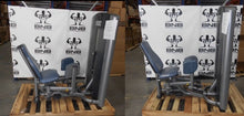 Load image into Gallery viewer, Life Fitness Signature Series Hip Abductor and Hip Adductor