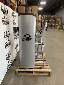 Cybex VR1 Bicep Curl & Tricep Extension Bundle - Commercial Gym Equipment