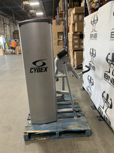 Load image into Gallery viewer, Cybex VR1 Bicep Curl &amp; Tricep Extension Bundle - Commercial Gym Equipment