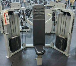 Precor Icarian Dual Cable Pulley Commercial Shoulder Press AND Commercial Chest