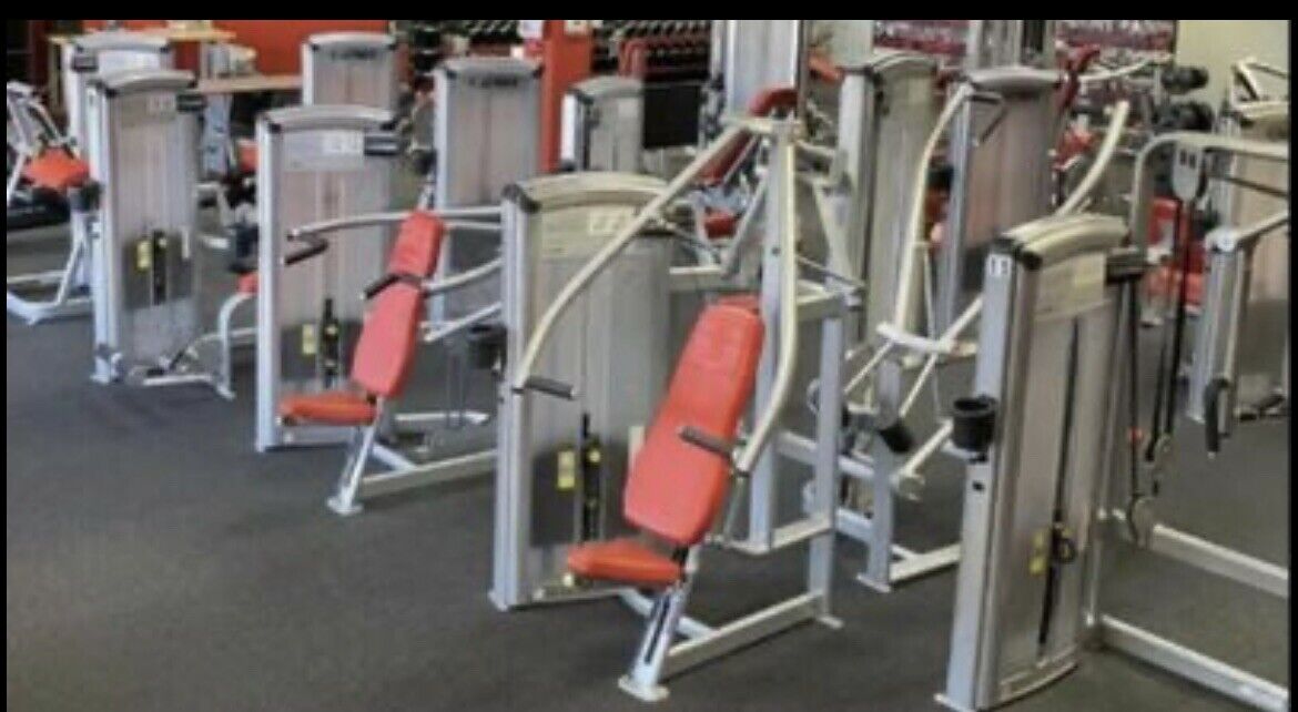 cybex circuit Cybex VR3