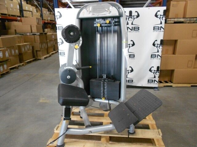 Magnum Fitness Back Extension Commercial Gym Equipment