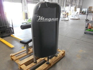 Magnum Fitness Lateral Delt Raise Commercial Gym Equipment