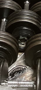 5 - 100 lb Set Hampton Pro Style Dumbbells (missing 1 x 65)