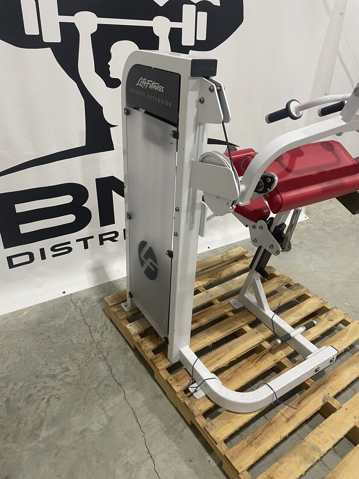 Life fitness tricep machine 2025
