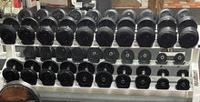 Load image into Gallery viewer, Troy Barbell Rubber Pro Style Dumbbell Set 5 - 110 With 2 Paramount Racks