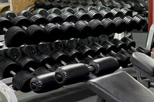 Troy Barbell Rubber Pro Style Dumbbell Set 5 - 110 With 2 Paramount Racks