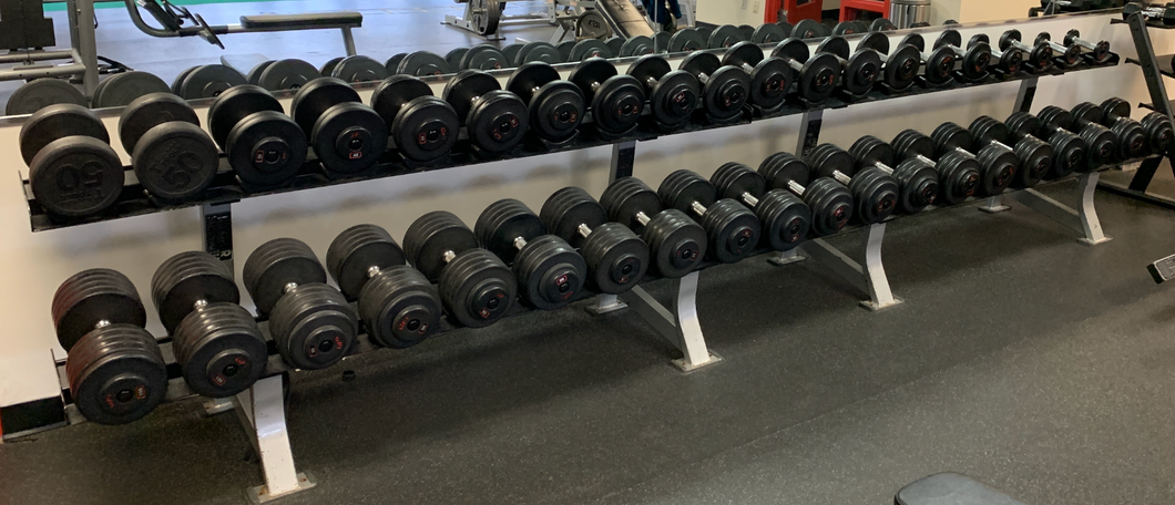 GPI Dumbell Set 5 100 Pro Style with 2 Hammer Strength 2 Tier Racks BNB Supplements