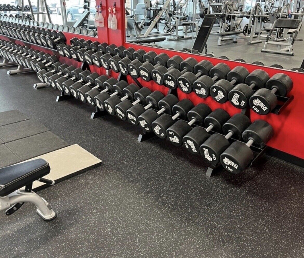 World Gym Branded Urethane Dumbbell Set 4 690 lbs BNB Supplements