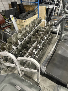 Ivanko Pro Style Dumbbell Set 5 100 with 2 x 2 Tier Cybex Racks