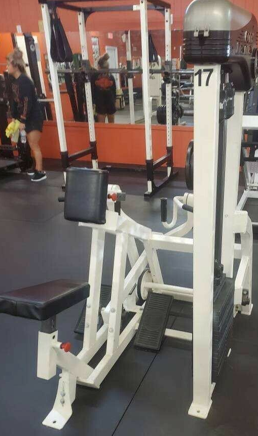 Body Masters Seated Row Commercial Gym Equipment – BNB Supplements