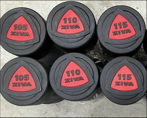 ZIVA ZVO Urethane Coated Dumbbells Set, Pairs Of 100 - 120 lbs